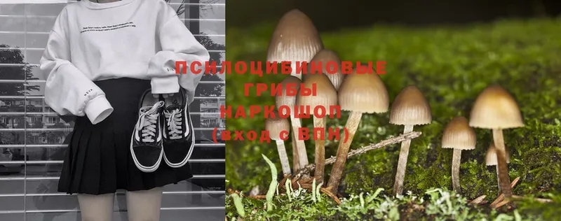 Галлюциногенные грибы Magic Shrooms  МЕГА рабочий сайт  Абаза 